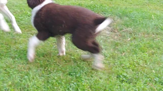 Taj and grandma Tauri