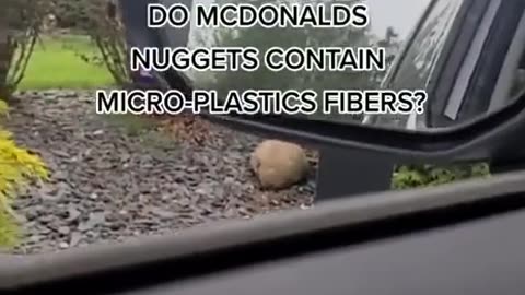 Are there really plastic pieces in McDonald's chicken nuggets?