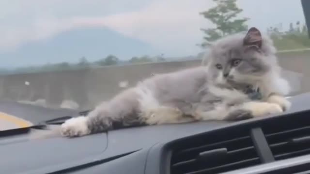 Oh My so cute