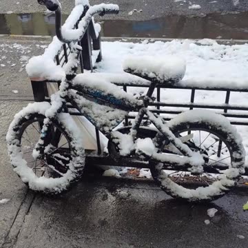 Vamos a trabajar en mi bicicleta...❄️🤣❄️