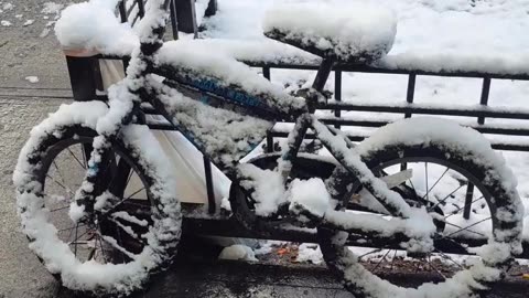 Vamos a trabajar en mi bicicleta...❄️🤣❄️