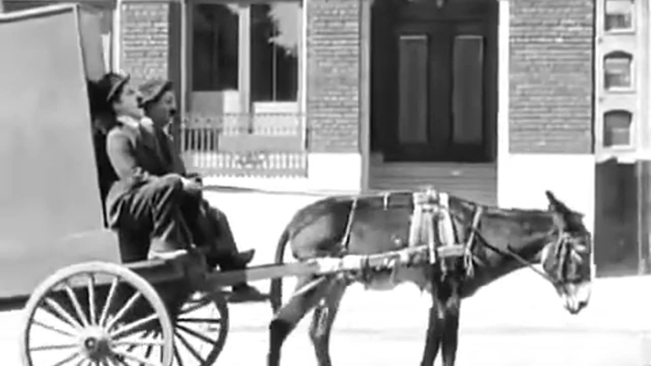 Donkey In Trouble##'##Charlie Chaplin New Clip