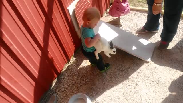 Cute Babies Playing With Animals