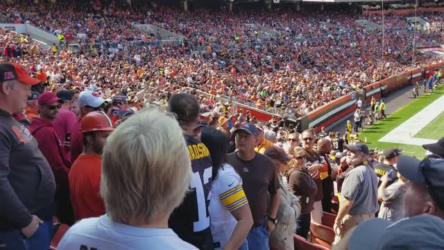 Football Fans Fighting in Stadium