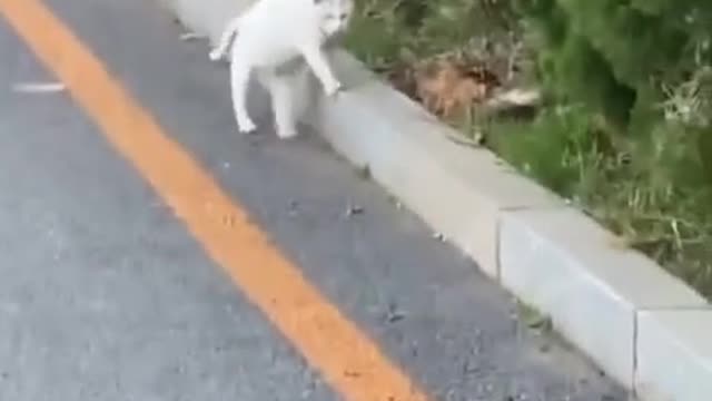 Why ?🤣