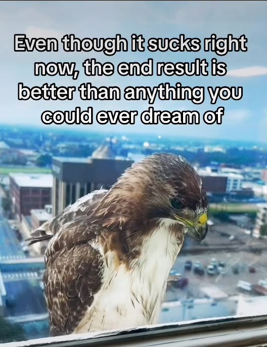 Your Healing Journey