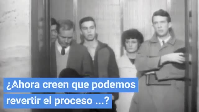 Mono ve ... mono hace