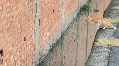 Wait for it !!