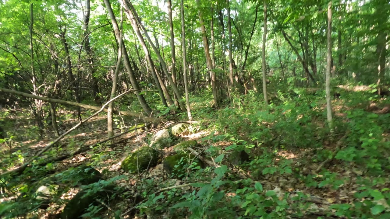 🚶‍♂️ Hiking The Gatineau #Hills In Quebec 🍁