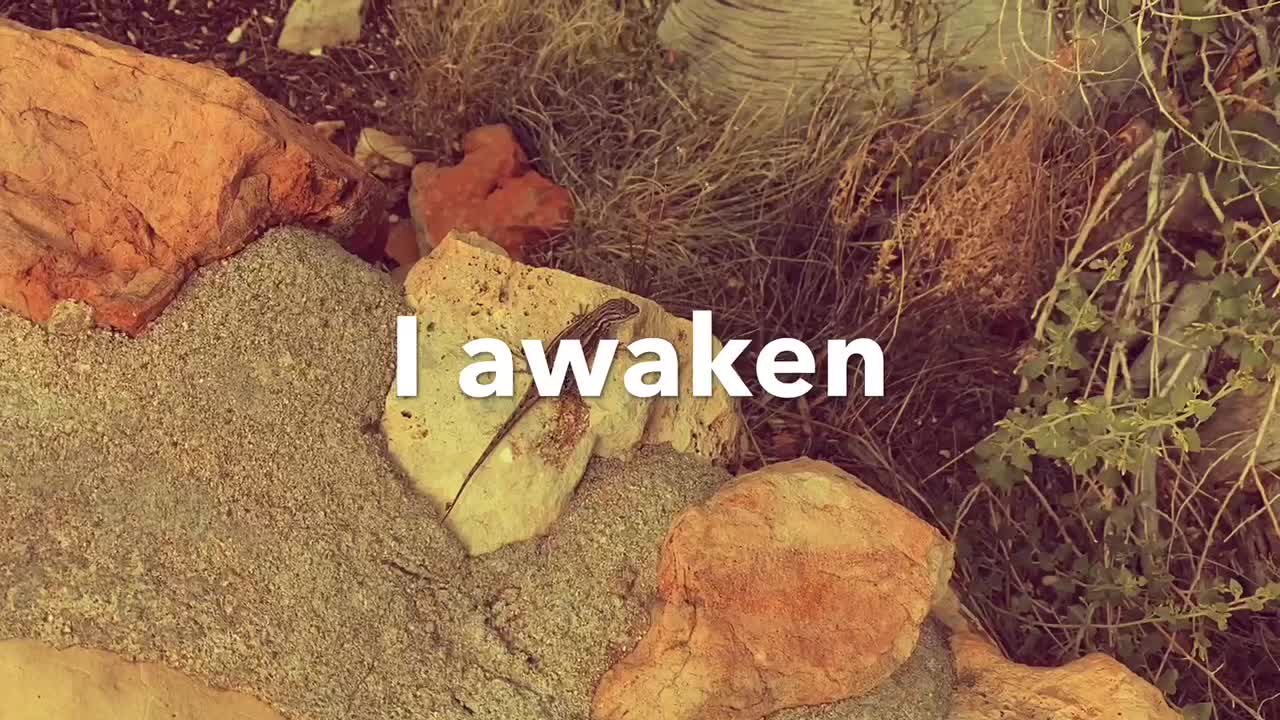 The universe has replaced me with another person.