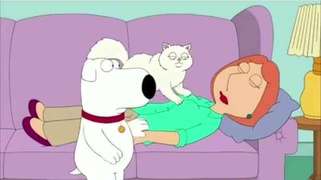 Wirt for and 🤣🤣