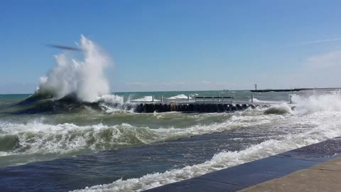 Surfs Up South Side Chicago
