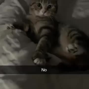 NO means NO 😂