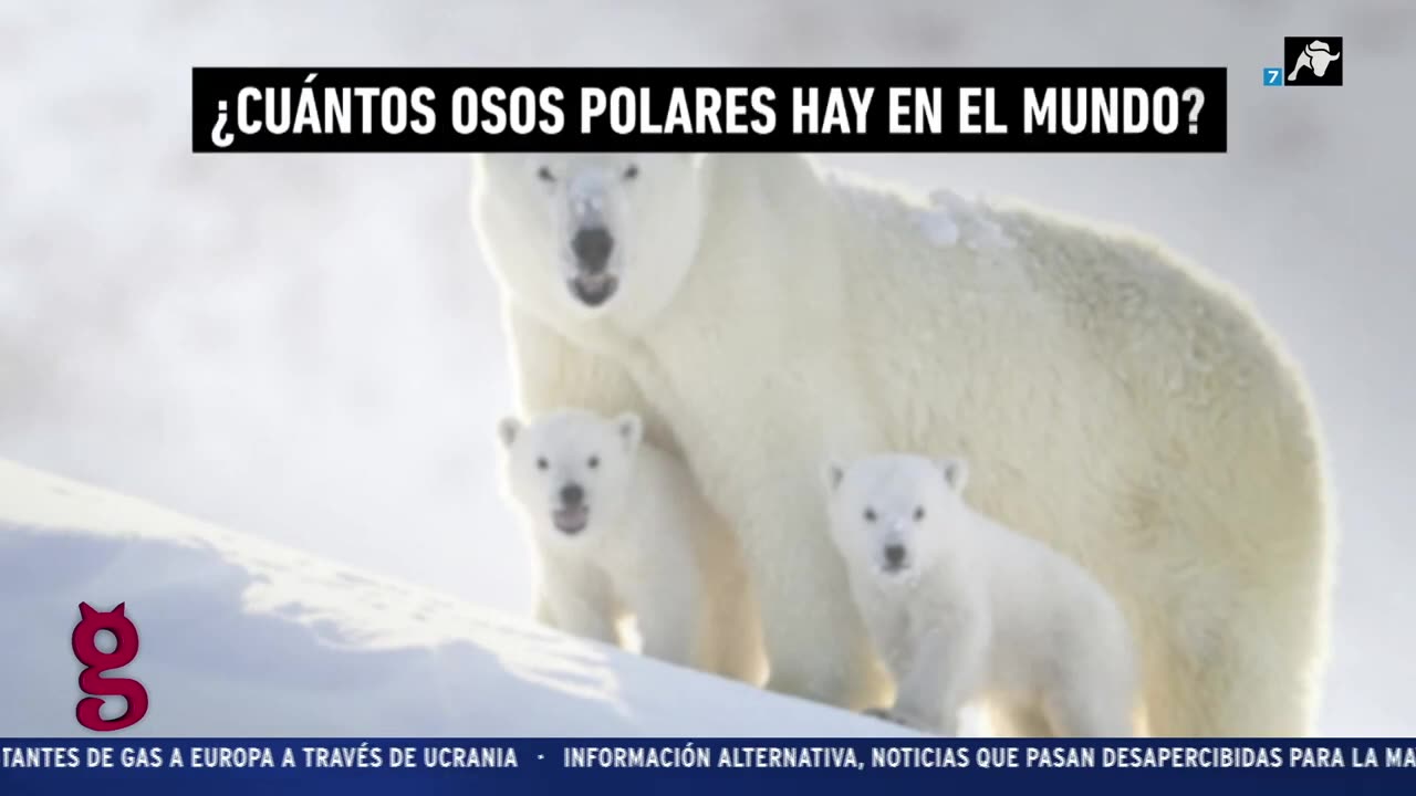 GREENPEACE UN NEGOCIO MUY LUCRATIVO