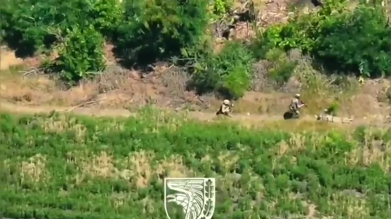 Russian Soldier Comes Out from Under Bushes and Surrenders