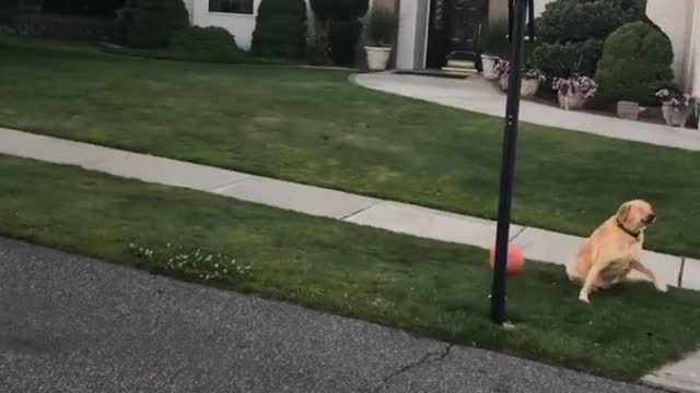 Air Ball