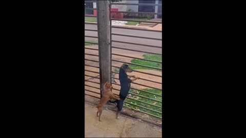 Some Super Funny Moments with the Craziest most hilarious moments ever