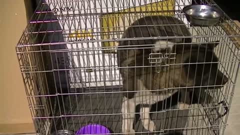 Ruská armáda pokračuje v evakuaci civilistů z charkovské oblasti do Ruska