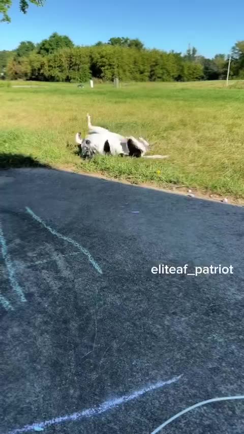 The FDA has been the victim of a horrible rumor that 50% of their funding