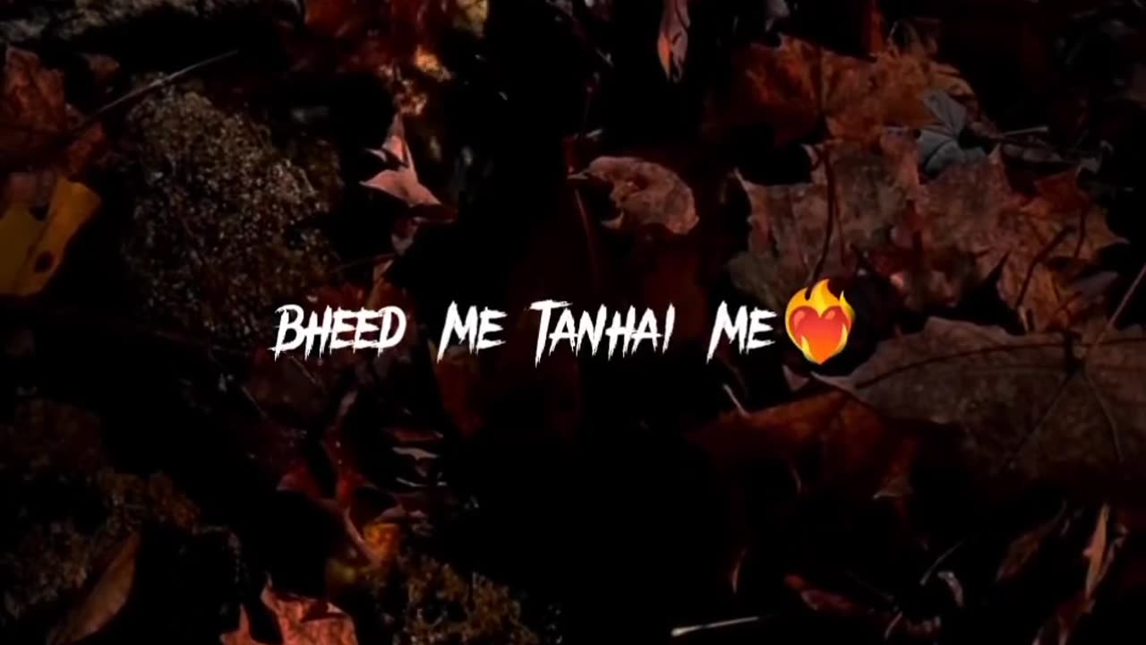 Status video