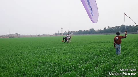 Guy on purple hand glider in field