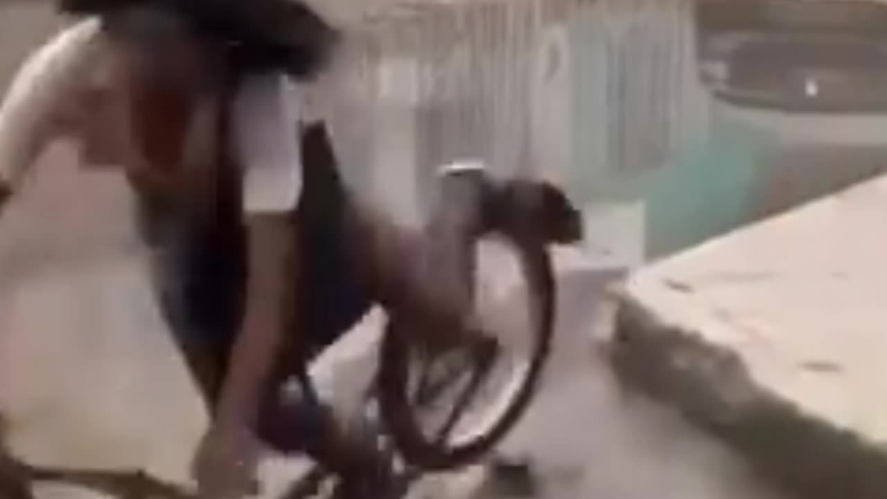Funny Scenes