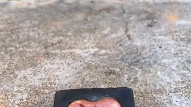 Oddly satisfying video that's make you sleepy