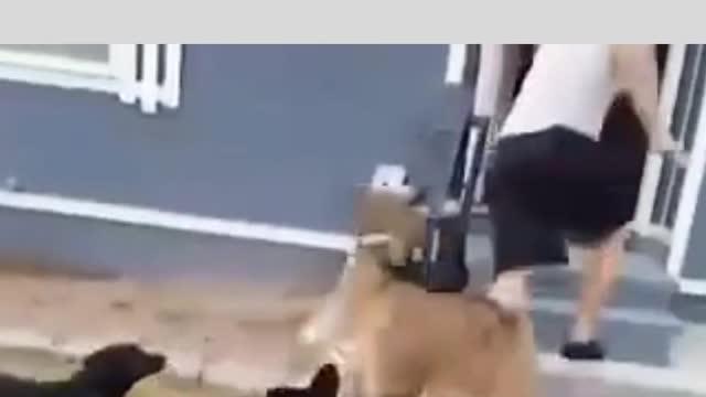let us in home