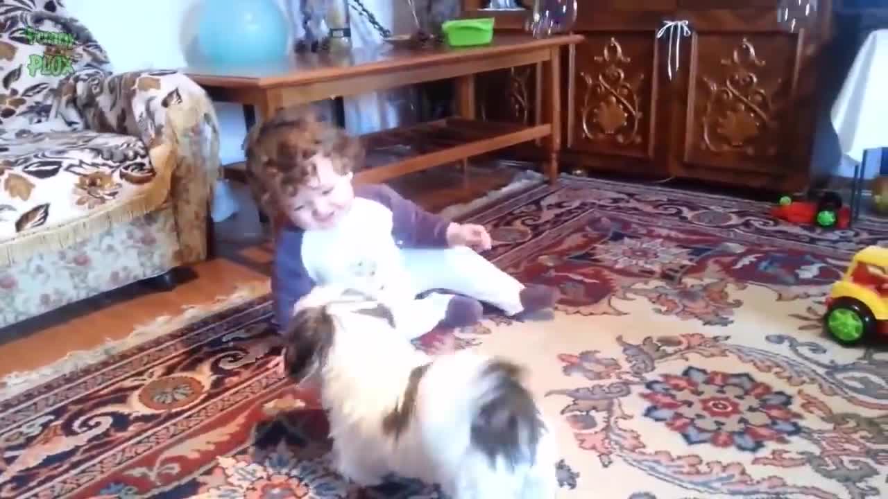 Funny Babies and Animals Video THE BEST Adorable Baby and Animals Compilation new 2021-2022