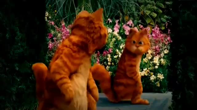 Baby cute cat cartoon video #justcool