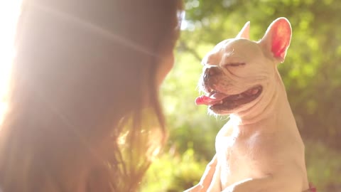 Brunette Girl Holding small Dog in her Arms