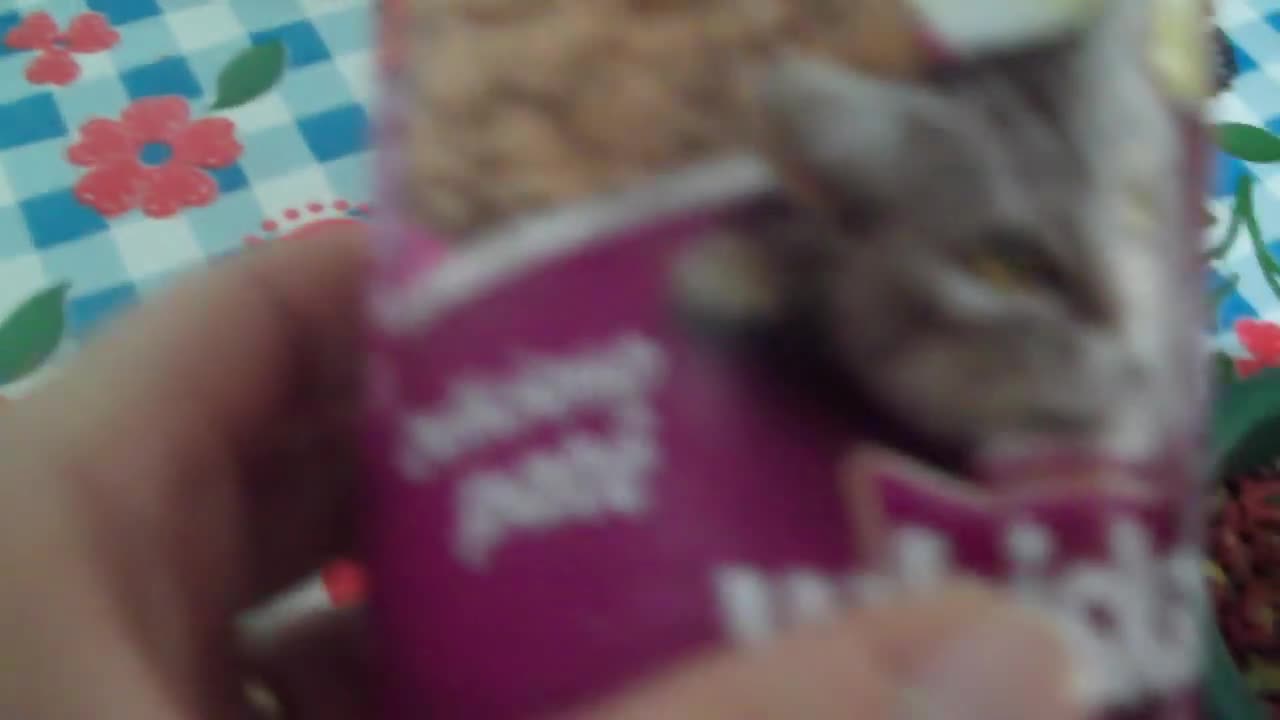 Who said that cat doesn't speak, look at this one that says ANGU