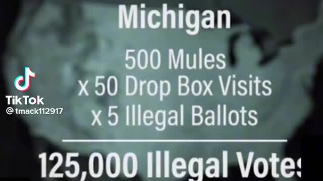 Five state mule investigation