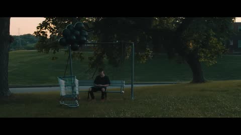 NF - WHY