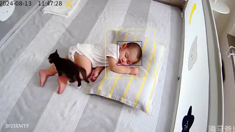 When your cat is the best babysitter Cute cats and little human