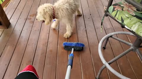 Buddy VS Broom