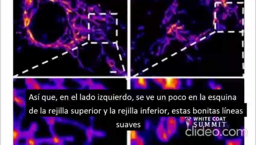 Ryan Cole, MD