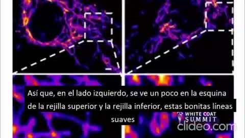 Ryan Cole, MD