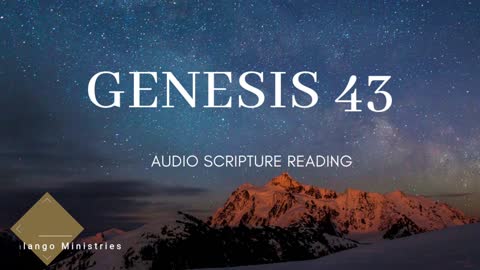 Genesis Chapter 43- Day 43 of Walking Through The Entire Bible With Stony Kalango