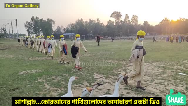 মাশাল্লাহ...দেখতে কতই না সুন্দর একঝাঁক কোরআনের পাখিগুলা।। -রাজঁহাসগুলো ও তাদের দেখে....