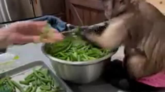 Happy Memorial day!!!