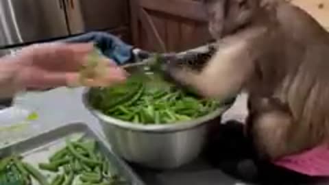 Happy Memorial day!!!