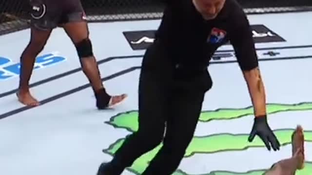 Edson Barbosa Lethal Legal Kicks UFC