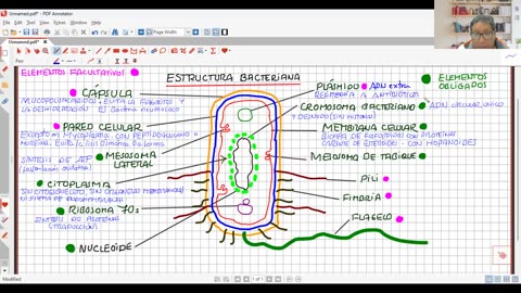 ANUAL ADUNI 2024 | Semana 18 | RM | Trigonometría | Biología