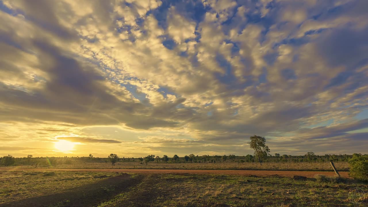 Nature Cinematic