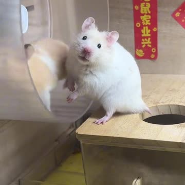 Some make things happen. Some watch things happen