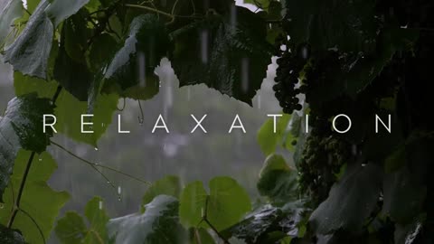 Peaceful Ambience for Spa, Yoga and Relaxation