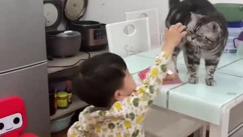 There is a chemistry between the cat and boy