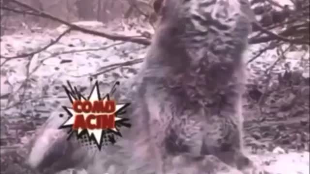 #Funny epic moment