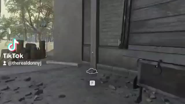 Warzone has so many glitches